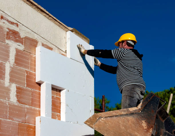 Best Garage Insulation Installation  in Carbon Cliff, IL