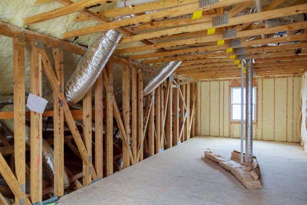 Best Insulation Contractors for Homes  in Carbon Cliff, IL