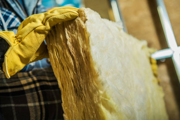 Best Fiberglass Insulation  in Carbon Cliff, IL