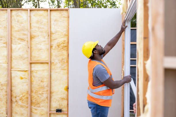 Best Attic Insulation Installation  in Carbon Cliff, IL