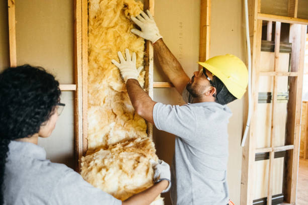 Reliable Carbon Cliff, IL Insulation Contractor Solutions