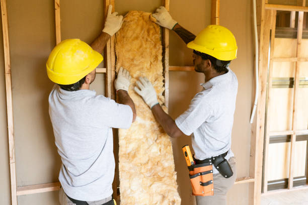 Best Spray Foam Insulation  in Carbon Cliff, IL