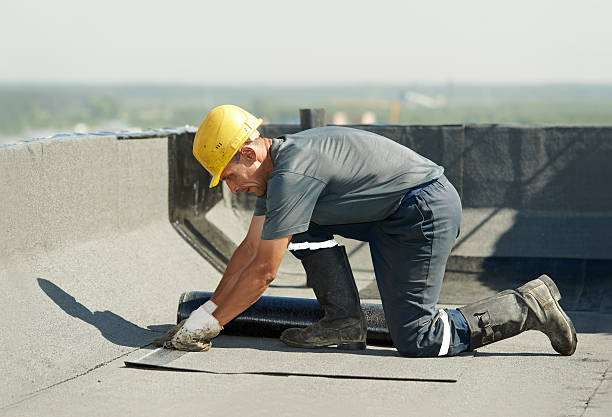 Best Blown-in Insulation  in Carbon Cliff, IL