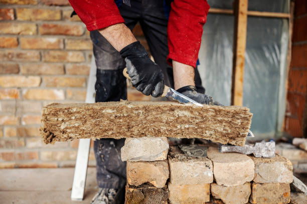 Best Insulation Replacement Services  in Carbon Cliff, IL