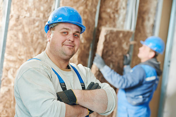 Best Insulation Repair Services  in Carbon Cliff, IL