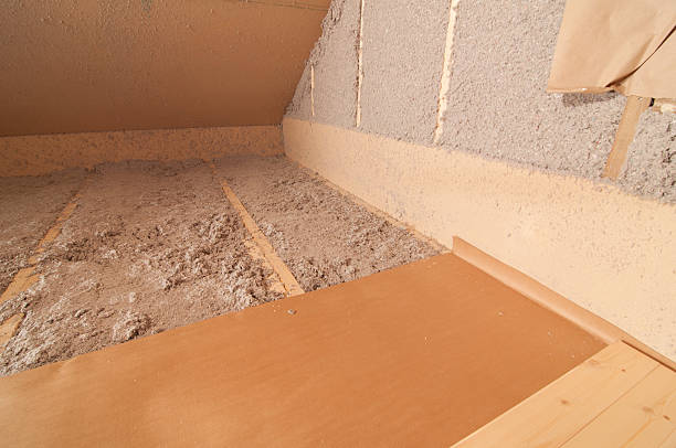 Best Energy-efficient Insulation  in Carbon Cliff, IL