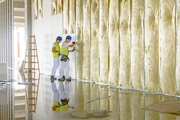 Best Insulation for New Construction  in Carbon Cliff, IL